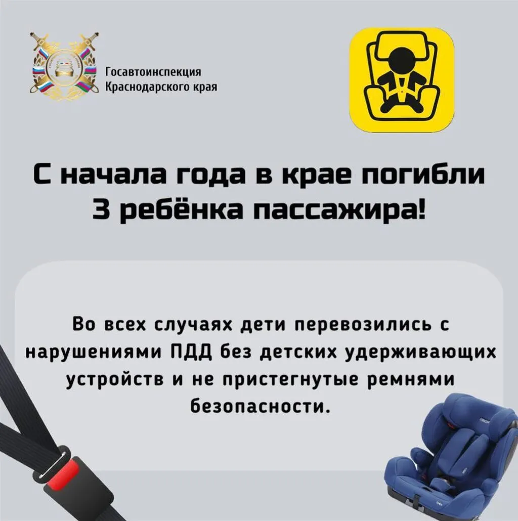 photo_5195387145450280297_y