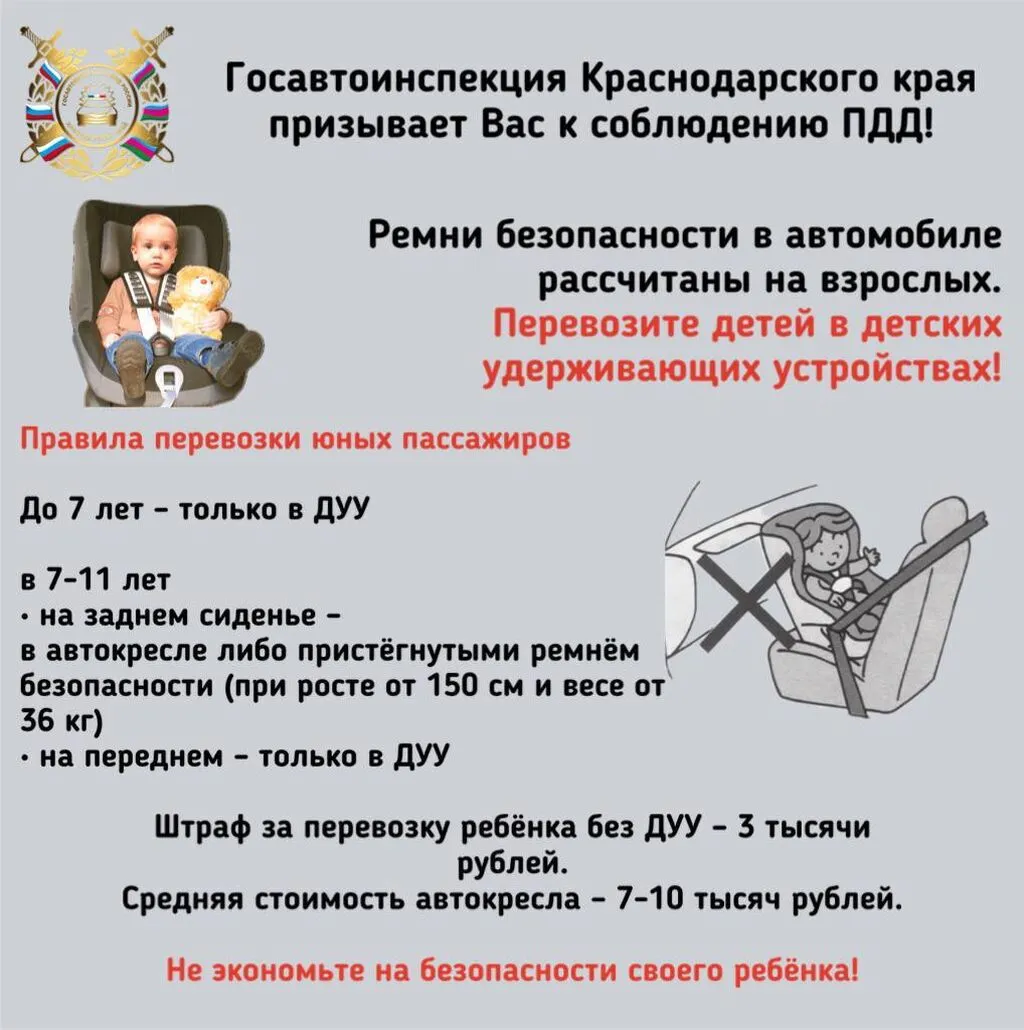 photo_5195387145450280302_y